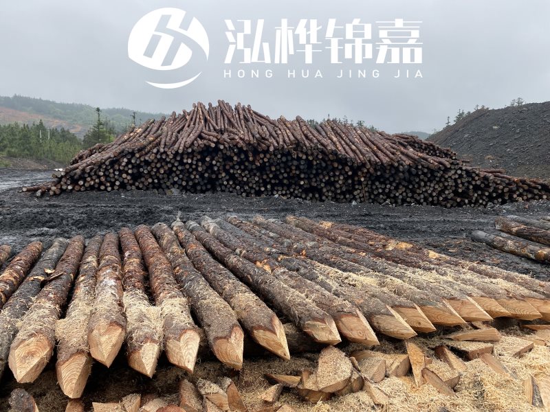 6米長松木樁有哪些作用，多少錢一根？