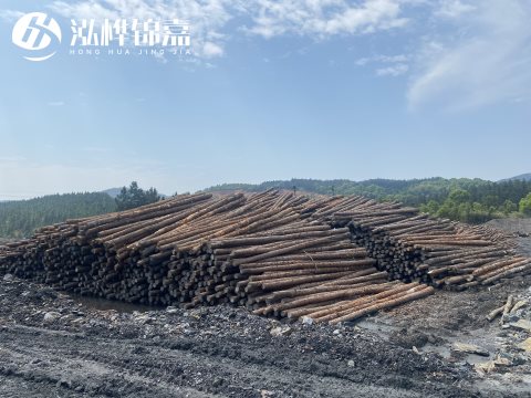 河道打樁為什么選擇松木樁來(lái)處理軟地基？-松木樁施工使用范圍