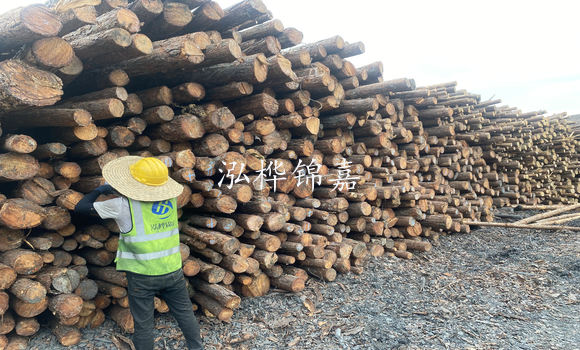 松木樁是什么，松木樁的用途有哪些-松木樁介紹