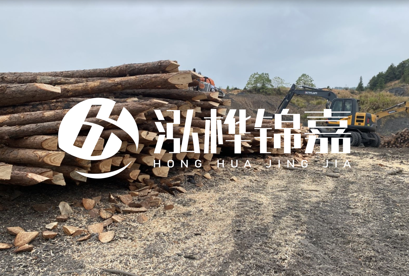 松木樁尾徑是什么意思？
