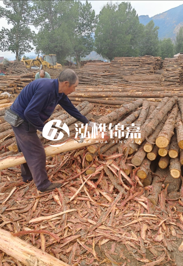 九江河底清理淤泥施工隊-河道清淤85元一方能干嗎？