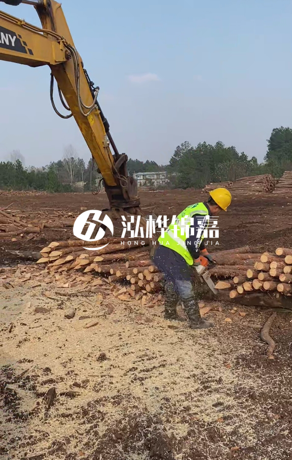 滁州挖機(jī)打木樁專業(yè)施工-河道打木樁與河岸加固關(guān)系？