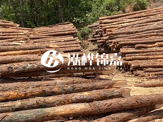 松木樁的運(yùn)輸費(fèi)用是否包含卸車費(fèi)？卸貨時(shí)需要注意哪些安全問題？