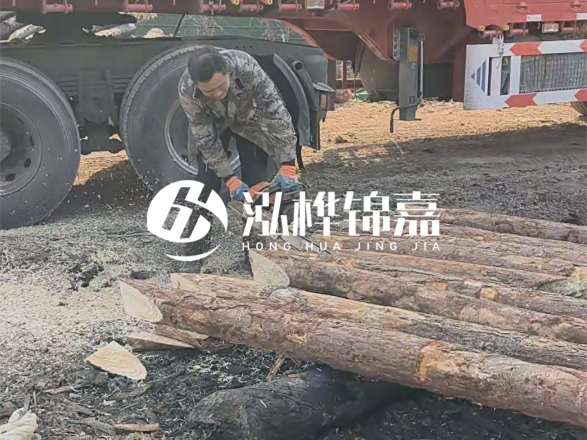 松木圓木價(jià)格大概多少一方-松木樁廠家按方可以賣嗎？