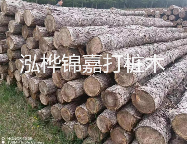 高效修補(bǔ)，保駕護(hù)航！水泥路面高強(qiáng)度修補(bǔ)料為您解決煩惱！
