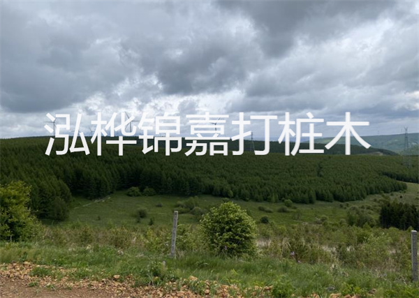 松木樁能重復(fù)施工么？