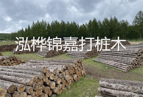 預制松木樁施工工藝：優(yōu)質材料，高效快速，堅固耐用