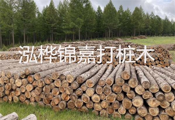 松木樁能施工嗎？探究視頻揭秘真相！