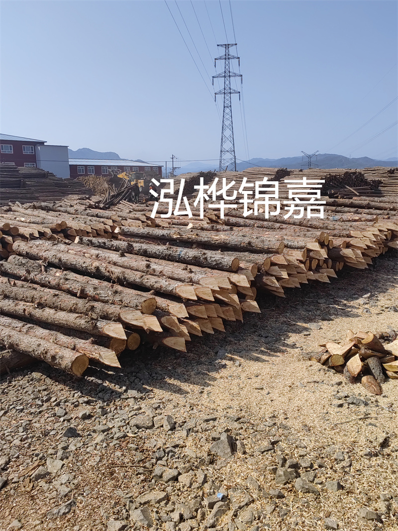 深入了解松木樁基礎(chǔ)施工單價(jià)，助力工程建設(shè)順利進(jìn)行！