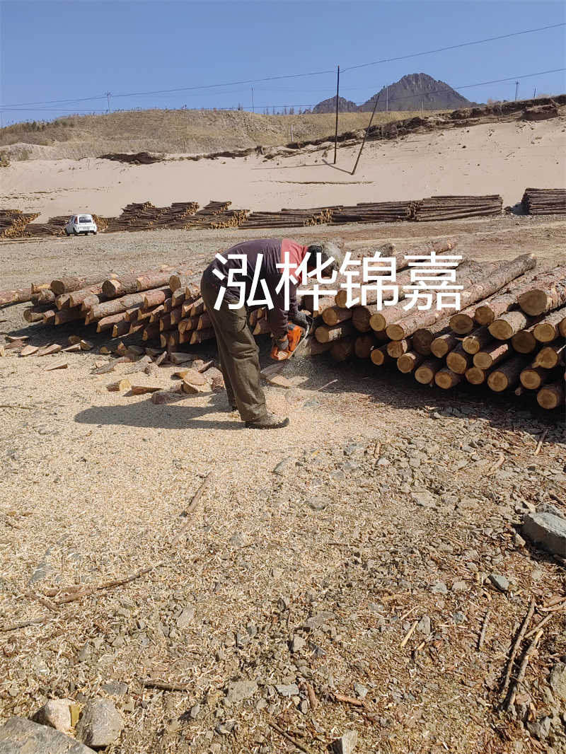 松木樁駁岸施工，打造水上風(fēng)景線