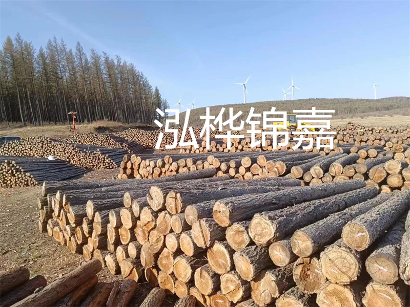 用路基松木樁施工方案提升工程質量描述：了解路基松木樁施工方案的重要性，提高工程質量關鍵詞：路基松木樁，施工方案，工程質量