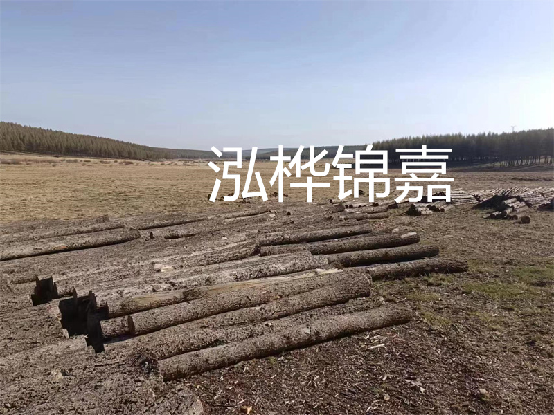 鄂州松木樁哪里好？推薦泓樺錦嘉松木樁業(yè)！