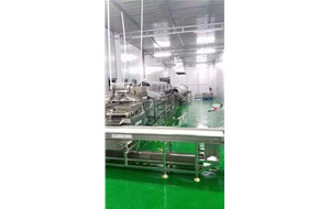 5T鵪鶉蛋蒸煮剝殼流水線在浙江嘉興客戶(hù)使用現(xiàn)場(chǎng)