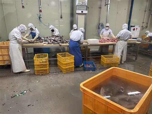 你知道袋裝即食魚應該如何殺菌效果更好嗎？